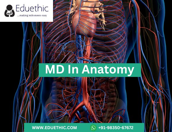 Who is eligible for MD Anatomy?