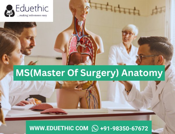 MS In Anatomy: Eligibility, Fees, Admission, Top Colleges, Syllabus